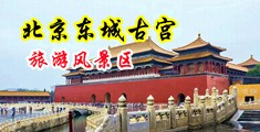 好大好黄好舒服视频在线中国北京-东城古宫旅游风景区
